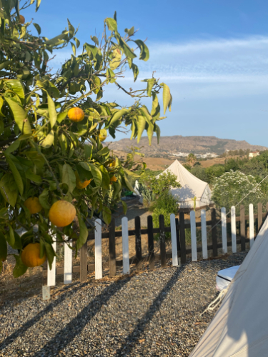 Luxe tenten bij finca Malaga